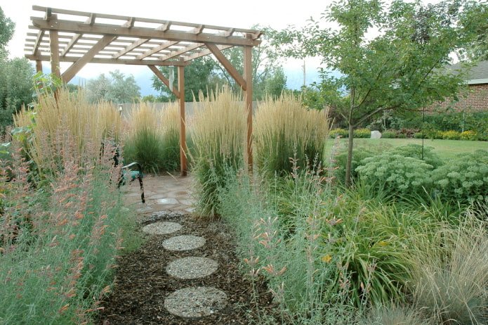 Granen bij de pergola