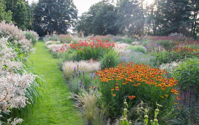 Granen in mixborders