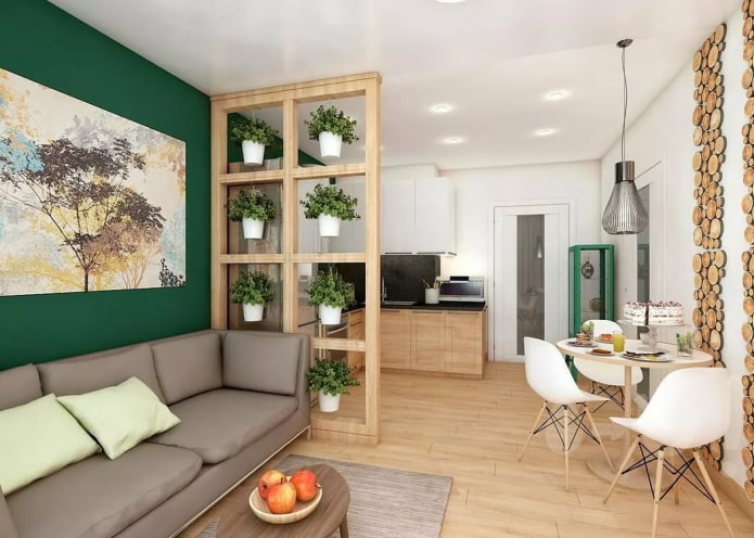 originele zoneringsoptie in het interieur van de keuken-woonkamer