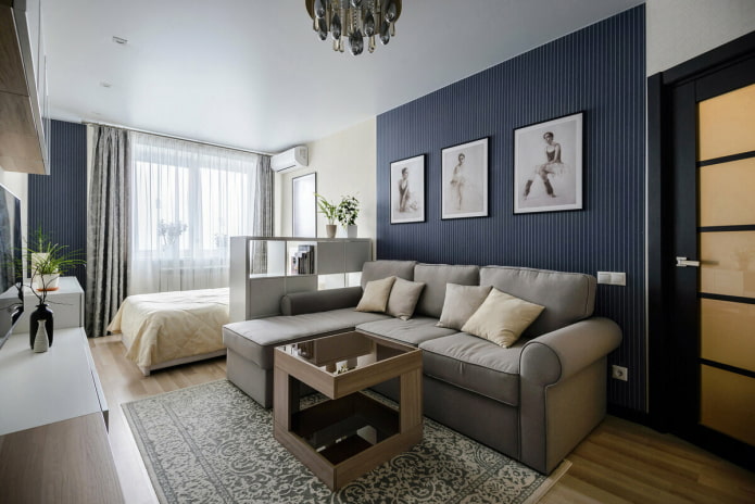 Ruim eenkamerappartement met een bed